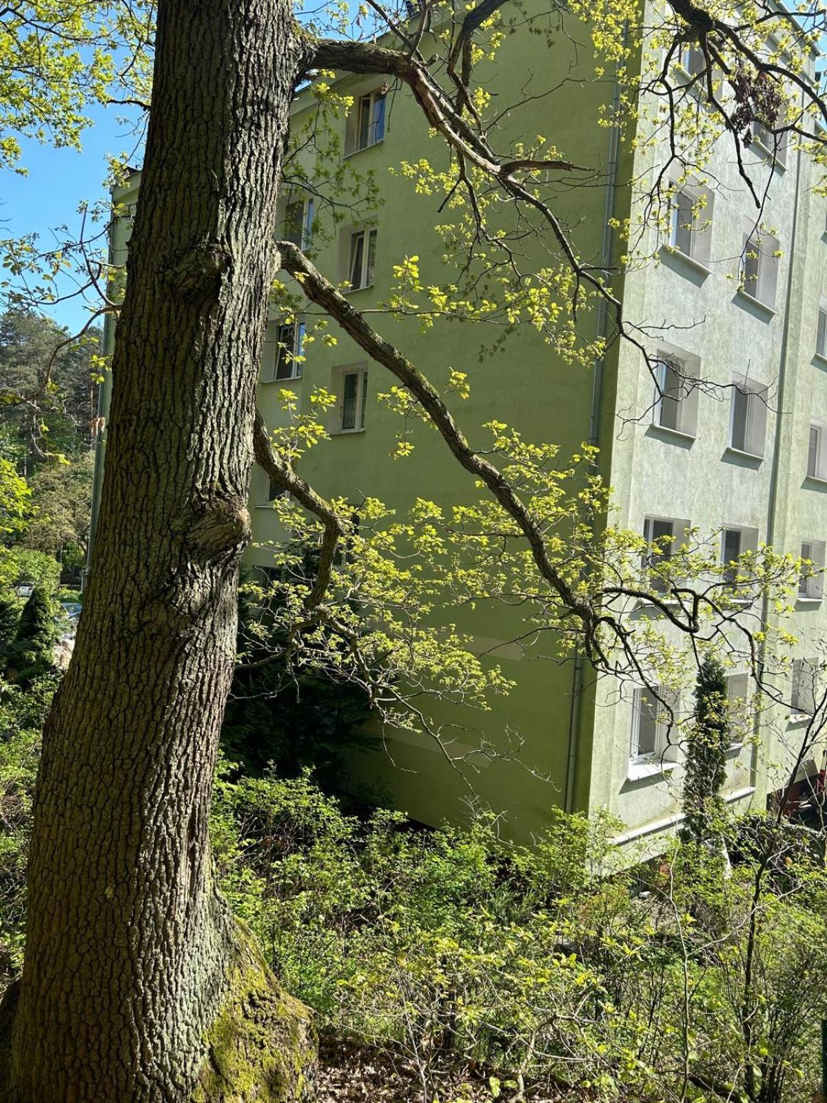 Apartament Przylesie ソポト エクステリア 写真